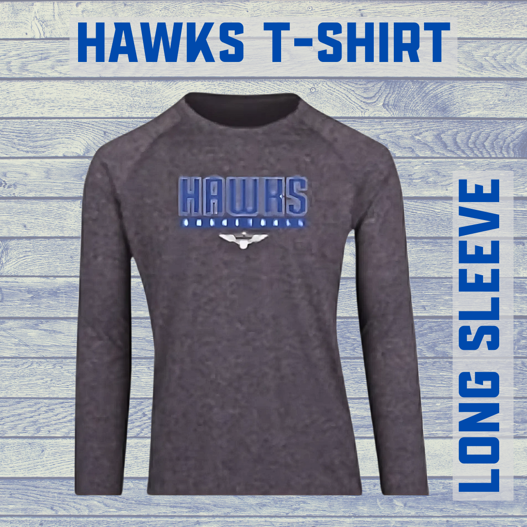 Hawks Long Sleeve Grey Top